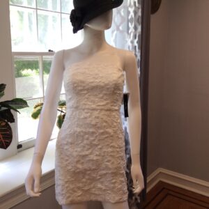Ivy & Blue Romantic Strapless Textured Mini Dress Size 2